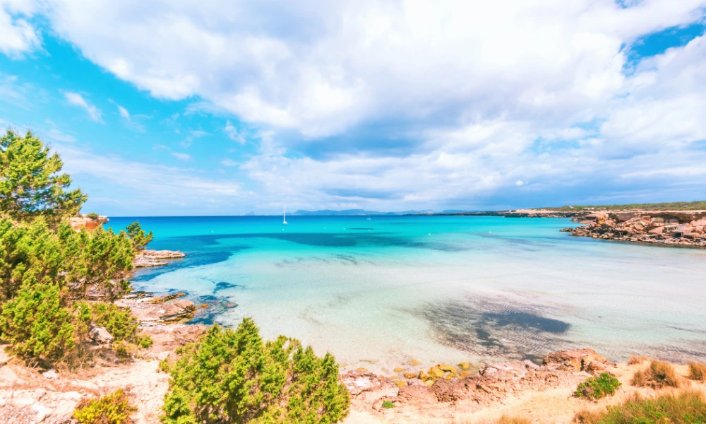 Cala Saona desde la arena Vista principal de Cala Saona con aguas turquesas