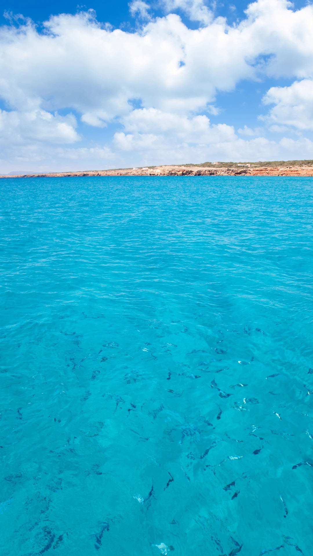 Entrada a la playa Cala Saona Acceso a la arena de Cala Saona entre vegetación