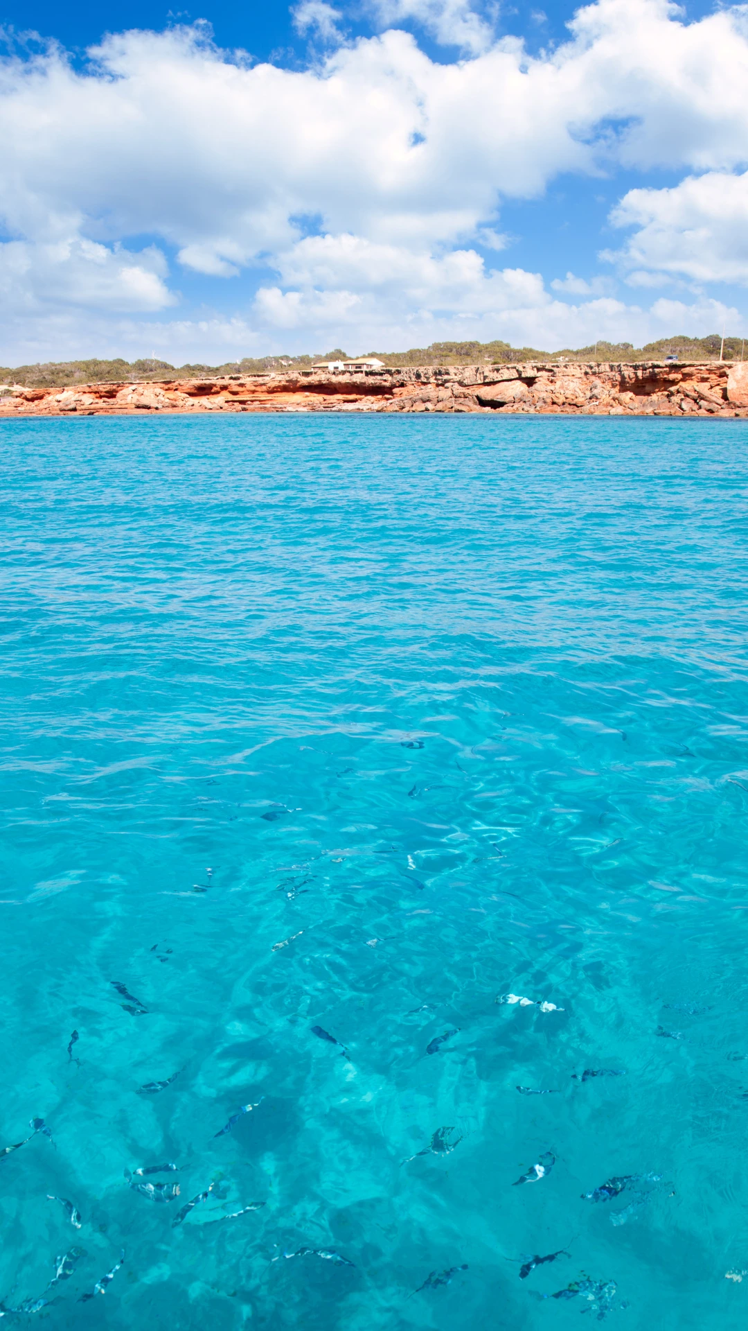 Vista elevada de Cala Saona Vista de Cala Saona con aguas cristalinas desde el acantilado