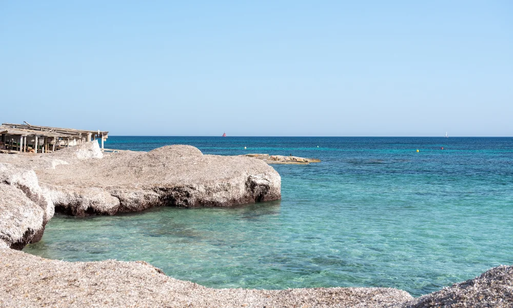Zona rocosa y natural en Migjorn Rincón natural con rocas y vegetación junto al mar en Migjorn